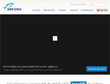 Tablet Screenshot of mergida.com